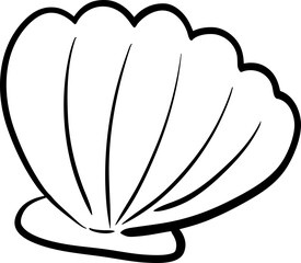 sketch Hand Drawn Seashells