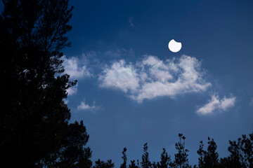 A beautiful partial solar eclipse in the skies over the Baltic Sea with pine tree silhouettes. A summer scenery shot through an ND filter in Latvia, Europe.