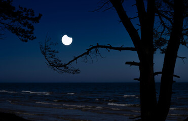 A beautiful partial solar eclipse in the skies over the Baltic Sea with pine tree silhouettes. A summer scenery shot through an ND filter in Latvia, Europe.