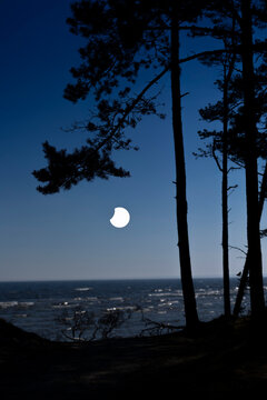 A beautiful partial solar eclipse in the skies over the Baltic Sea with pine tree silhouettes. A summer scenery shot through an ND filter in Latvia, Europe.