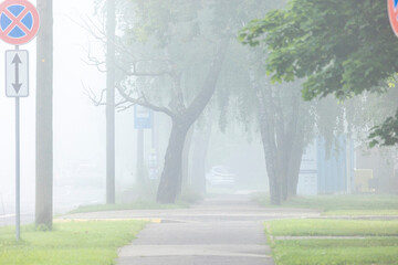 A beautiful foggy summer morning with a small path leading through the park trees. A seasonal scenery of Latvia, Europe.