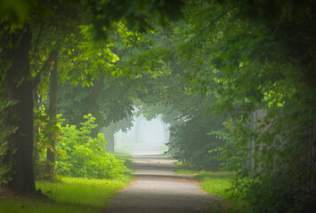 A beautiful foggy summer morning with a small path leading through the park trees. A seasonal scenery of Latvia, Europe.