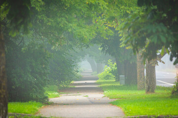 A beautiful foggy summer morning with a small path leading through the park trees. A seasonal scenery of Latvia, Europe.