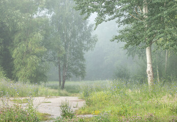A beautiful foggy summer morning with a small path leading through the park trees. A seasonal scenery of Latvia, Europe.