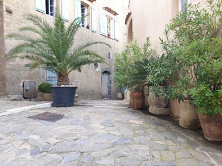 Ramatuelle, Presqu'ile de Saint Tropez, Var, Provence-Alpes-C&ocirc;te d'Azur, France, Europe