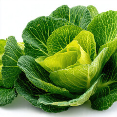 Obraz premium Fresh Green Cabbage