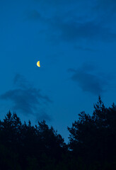 A beautiful moon shining in the night sky over Latvia, Europe. A summer scenery at nighttime.