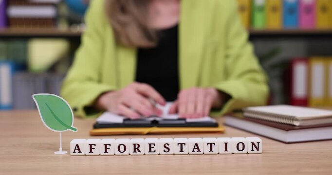 Exploring the art of afforestation in a vibrant workspace filled with inspiration and creativity