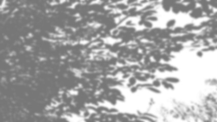 Realistic foliage shadow mask designed for seamless blending in graphic design or photo editing workflows, 2d illustration with blur effect.