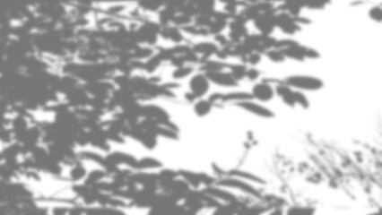 Soft blurred shadow concept texture with dappled gray and white patterns for photo video or design overlay projects, 2d illustration with blur effect.