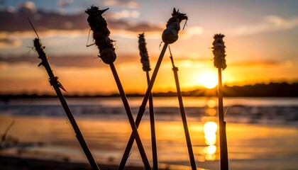 Sunset silhouettes of sticks with objects, river