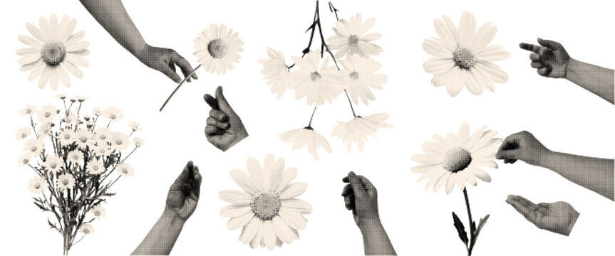 Trendy elements chamomile and hands with a retro halftone effect. Vector illustration for mixed media design isolated on transparent background.