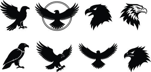 Collection of Black Silhouette Eagles and Eagle Heads, Featuring Detailed Feathers and Aggressive Expressions, Flat Vector Illustration Set for Logo or Mascot Design, Isolated on White Background