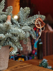 Christmas tree decor in warm public interior with close-up ornament details.