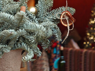 Holiday decorated trees in public venue with warm cozy interior atmosphere.
