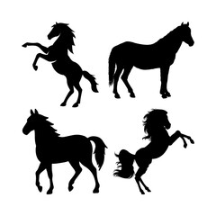 silhouettes of horses