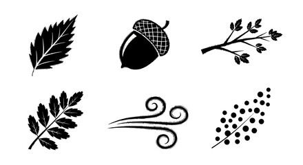 Collection of Autumnal Icons Including Leaves Acorn and Wind Symbol. © Dika