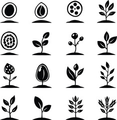 Monochrome Vector Illustration of Plant Growth Stages Depicted in Minimalist Style from Seed to Maturity, Representing Botanical Development, Agricultural Cycles, and Natural Life Progression