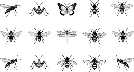 Detailed Insect Line Art Collection, Wasp, Cricket, Butterfly, Bee, and Dragonfly Set, Nature Bugs Outline Isolated on White Background, Entomology Drawing Flat Vector Illustration