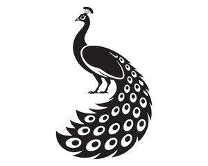 Fototapeta premium Peacock 5.eps