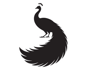 Fototapeta premium Peacock 7.eps