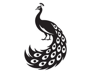 Fototapeta premium Peacock 9.eps