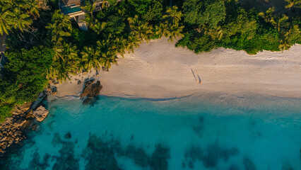 top view, men and women on the beach, view from the drone from above on the Seychelles beach with green forest. © Ivan