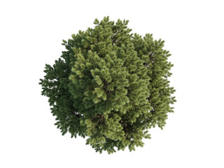 Intricate green textured sphere biological abstract microscopic structure cellular detail science concept transparent background