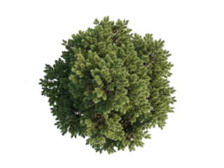 Intricate green textured sphere biological abstract microscopic structure cellular detail science concept transparent background