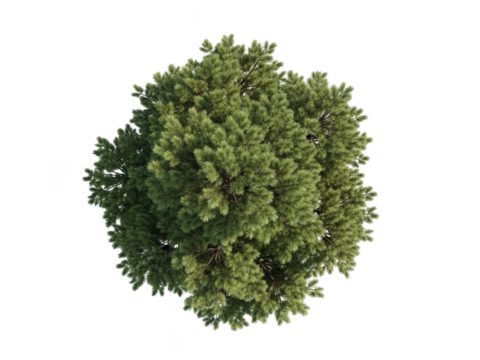 Intricate green textured sphere biological abstract microscopic structure cellular detail science concept transparent background - Powered by Adobe