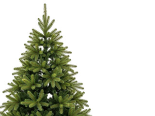 Fototapeta premium Lush green artificial christmas tree a festive holiday season symbol for decorations transparent background