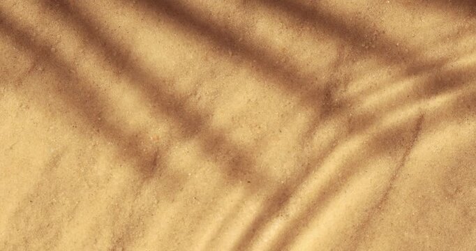 Sea sand with water. Shadow of palm leaf on the sand. Waves on the water, background.