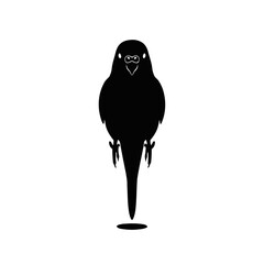 Budgie silhouette top view walking shadow play vector illustration