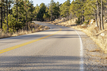 Winding road through pine forest, surrounded by tall trees and natural scenery, evokes sense of adventure and tranquility