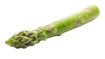 Fresh green asparagus spear, isolated on white or transparent background. PNG