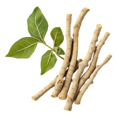 Ashwagandha isolated on white and transparent background