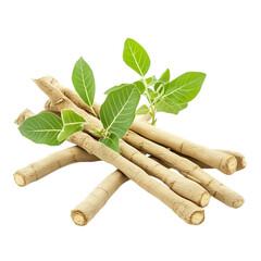 Ashwagandha isolated on white and transparent background