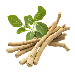 Ashwagandha isolated on white and transparent background
