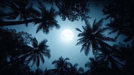 Moon illuminating dark palm trees against a blue night sky