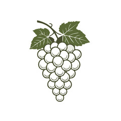 Fototapeta premium Illustration of Ripe White Grapes with Leaves Design for Wine or Food Related Concepts