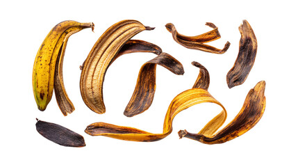 set of banana peels isolated, food waste or kitchen scrape management concept, collection in different angles