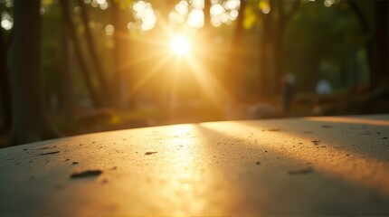 Sunlight Through Trees in Outdoor Nature Scene