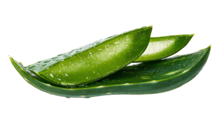 Sliced aloe Vera leaf isolated on a white background