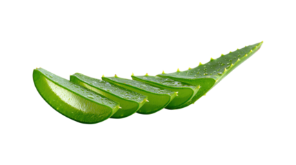 Sliced aloe Vera leaf isolated on a white background