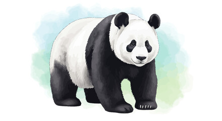 Cute Giant Panda Illustration with Watercolor Background