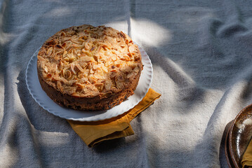 Homemade rum raisin apple cake on white ceramic plate  