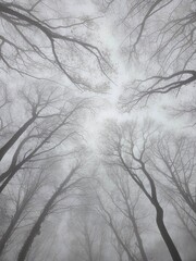 Dense mist wraps around the forest, hiding the distance and leaving only shadows of bare trees. Wet bark, soft moss, and grey light create a deep, moody, atmospheric landscape. © Єлизавета Марченко