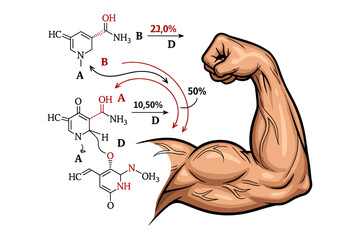 Muscle Science Illustration &ndash; Strength, Fitness, Biochemistry and Human Anatomy Concept with Molecular Structure and Protein Synthesis
