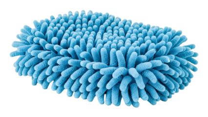 Detailed view of a blue sea anemone isolated on transparent background