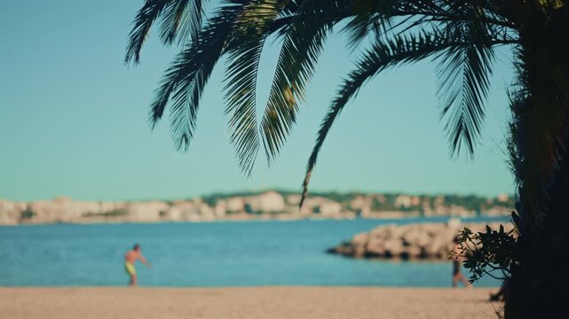 People relaxing and walking on a sandy beach by the sea, framed by palm leaves and tree trunk in the foreground with a coastal town in the distance